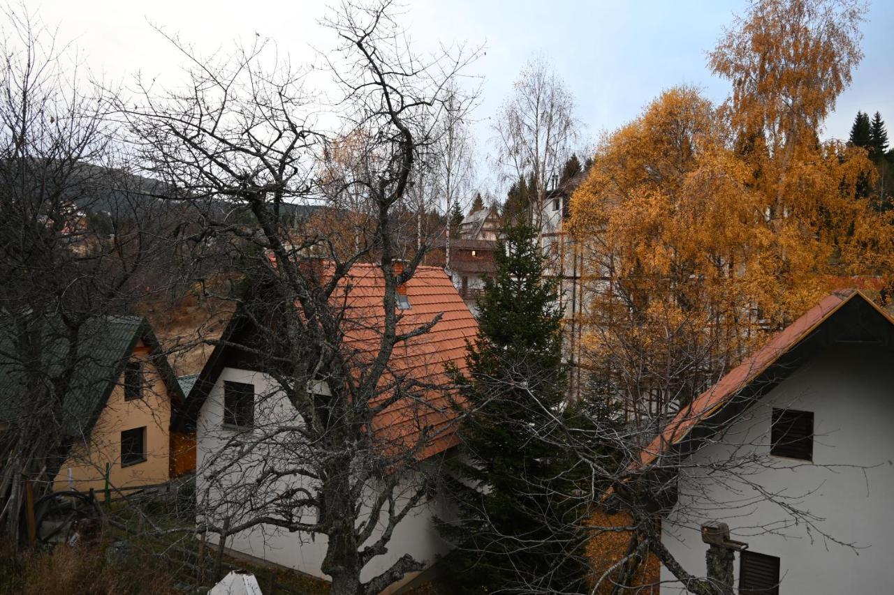 Apartman Vukasin كوباونيك المظهر الخارجي الصورة